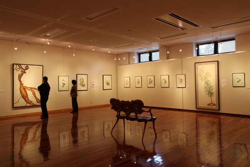 2野村陽子植物細密画館